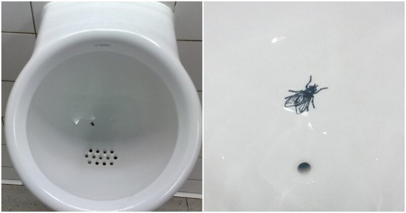 4. Амстердамские туалеты в аэропорту славятся забавными ситуациями: то муху в писсуарам прикрепят, то сделают уборные с видом на взлетную полосу