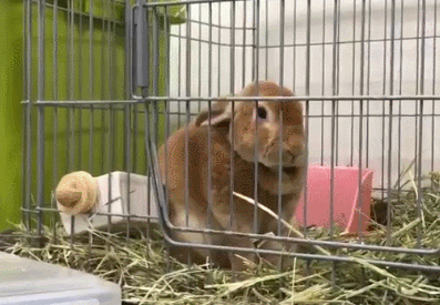 Настройка локаторов