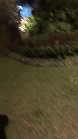 Реакция папы на тату сына Реакция папы на тату сына