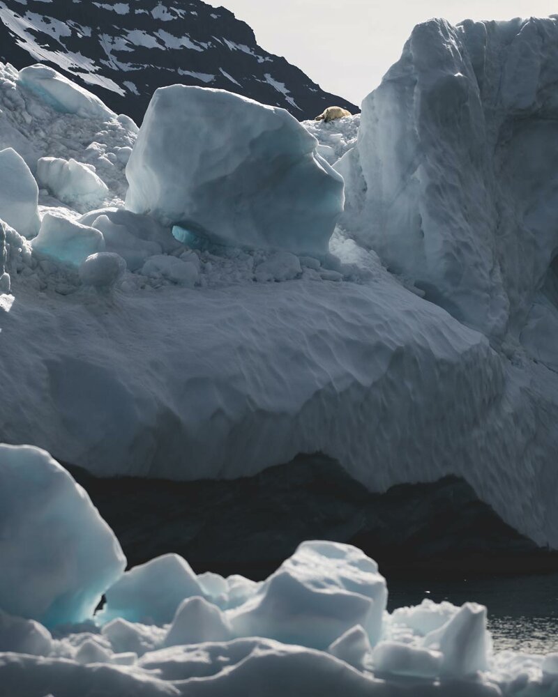 Шикарные фотографии из арктической экспедиции Джо Шаттера