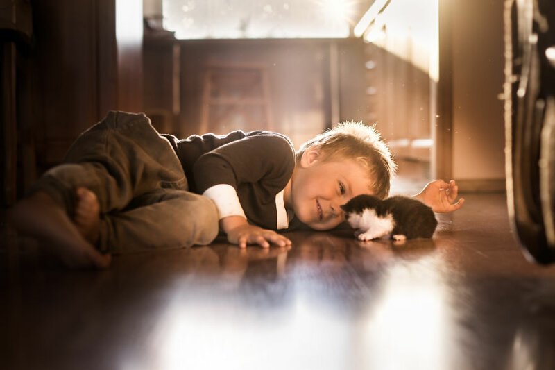 Очаровательные фотографии дружбы мальчика с кошками