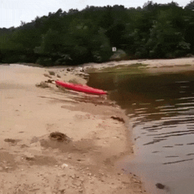 Гифки неудачного дня Гифки неудачного дня