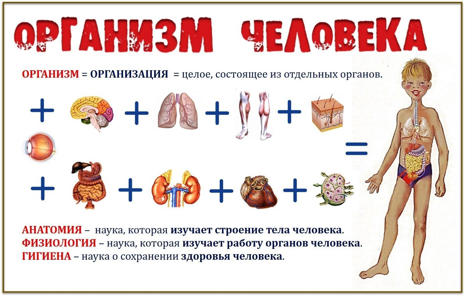 Образ человека и его характер женский образ конспект урока 2 класс