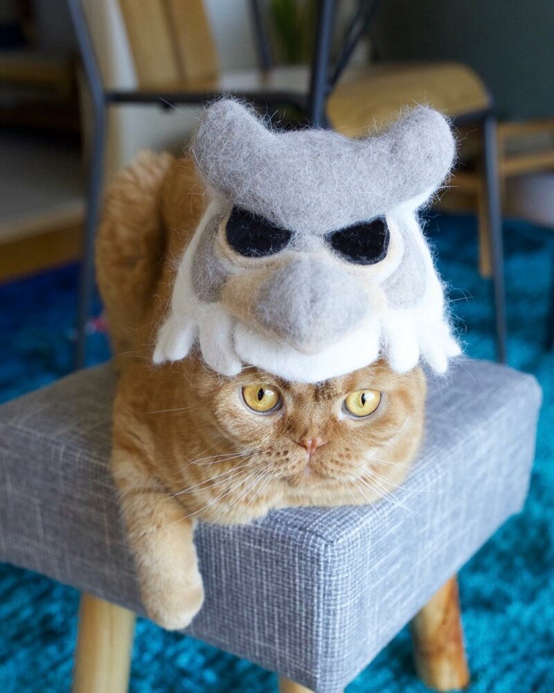 Японский фотограф нашел самое правильное применение кошачьей шерсти!