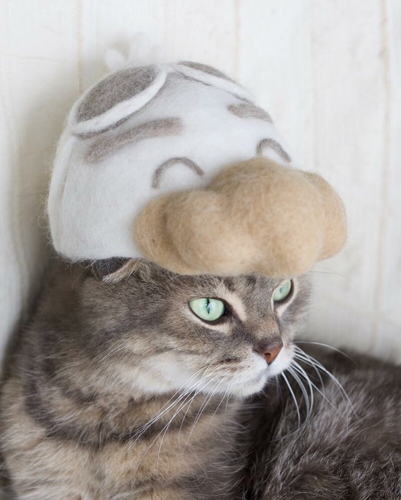 Японский фотограф нашел самое правильное применение кошачьей шерсти!