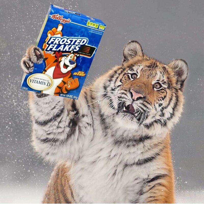 «У вас на коробке тигр не настоящий!»