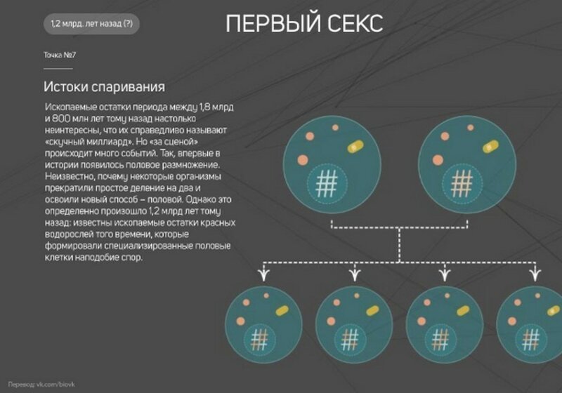 Интересные факты : 25 поворотных точек в истории Земли