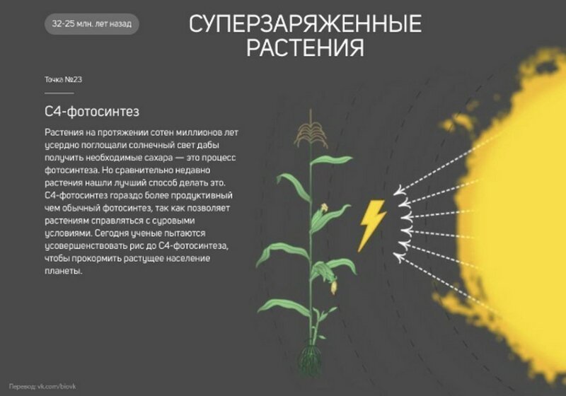 Интересные факты : 25 поворотных точек в истории Земли