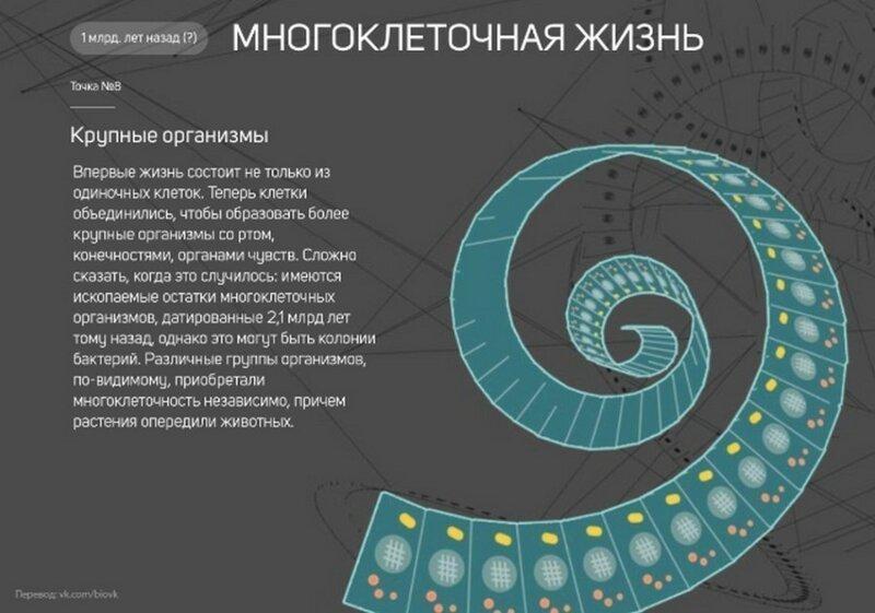 Интересные факты : 25 поворотных точек в истории Земли