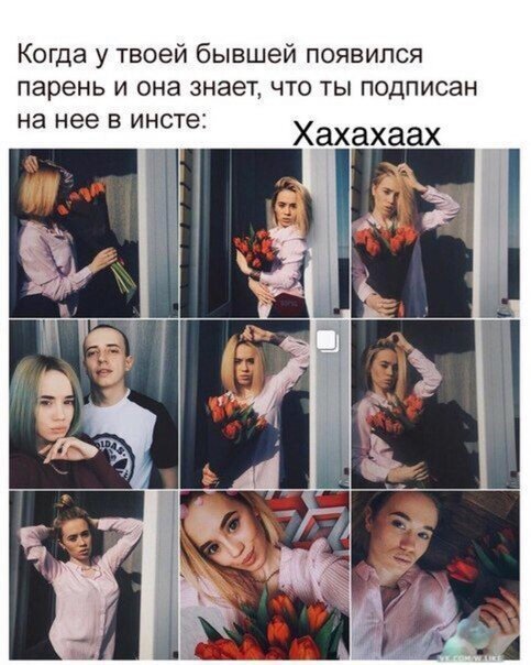 Прикольные и смешные картинки