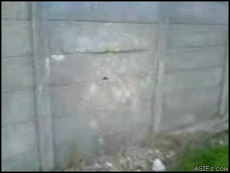 b5f1cce95a15a6f725c67b237bb542eb.gif