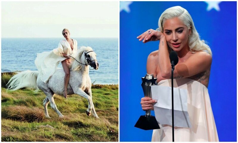 Леди Гага сбежала с премии Critics' Choice Awards из-за смерти любимой лошади