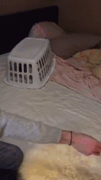 Гифки дня Гифки дня