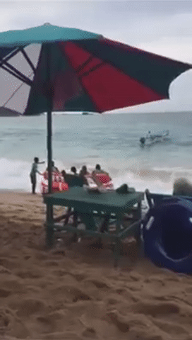 Гифки дня Гифки дня