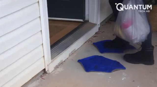 Гифки дня Гифки дня