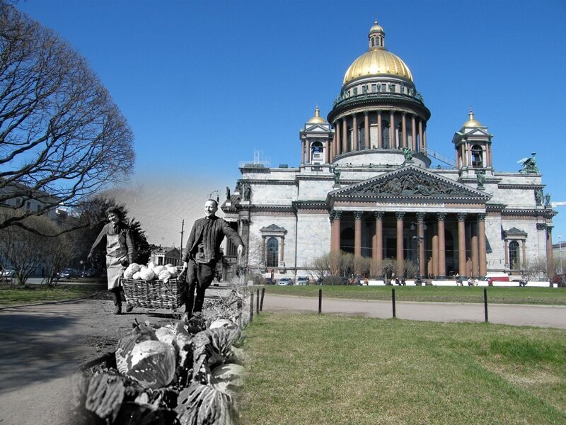 Ленинград 1942-2009 Исаакиевская площадь. Выращенная капуста 