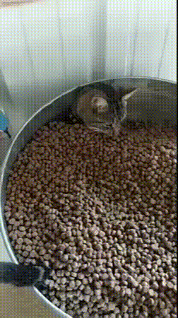 Включайте фильм