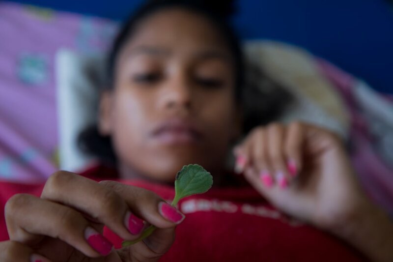 Лилиана держит в руке лист болдо - растения, обладающего обезболивающими свойствами