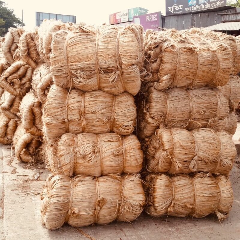 Джут — неотъемлемая часть бенгальской культуры. Джут издревле применяют в лёгкой промышленности, из него изготавливают коврики, одежду, канаты