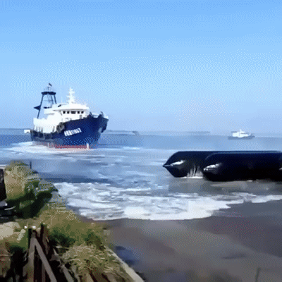 Вынесло на берег