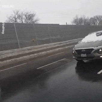 Кого только не встретишь на дороге