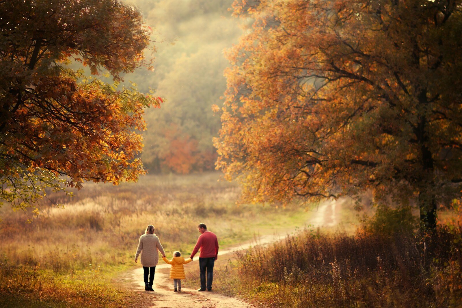 Трогательный лес. Осенняя прогулка. Осень в деревне. Осень люди. Осень дорога человек.
