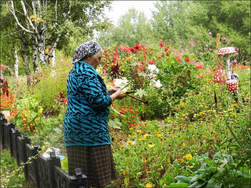 Какой сад был у старушки. Старушки на даче. Бабушка в огороде. Бабушка в саду с цветами. Дача бабушки с огородом.