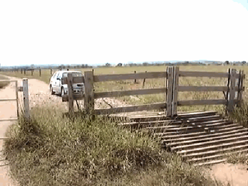 Гифки на любой вкус Гифки на любой вкус