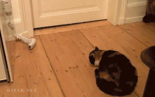 Гифки на любой вкус Гифки на любой вкус