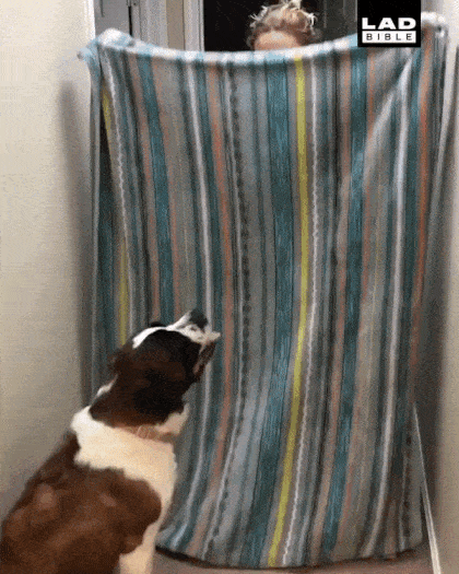 Гифки на любой вкус Гифки на любой вкус