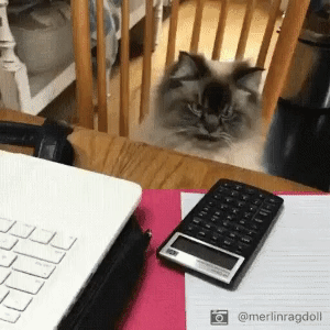 Гифки на любой вкус Гифки на любой вкус