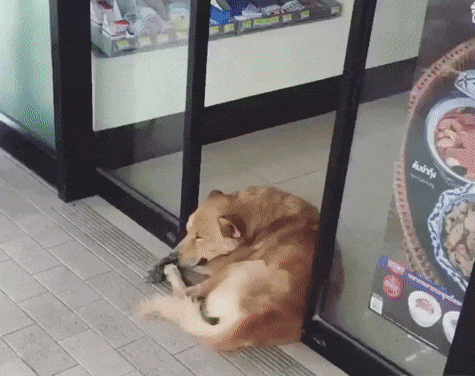 Когда очень хочется спать, ничто не может помешать