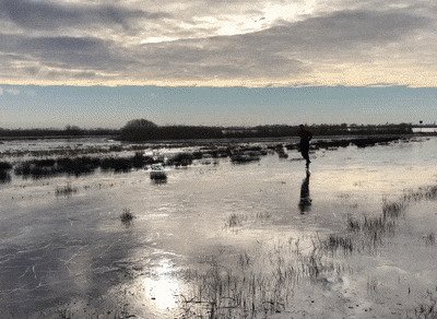 Подборка самых крутых и смешных гифок