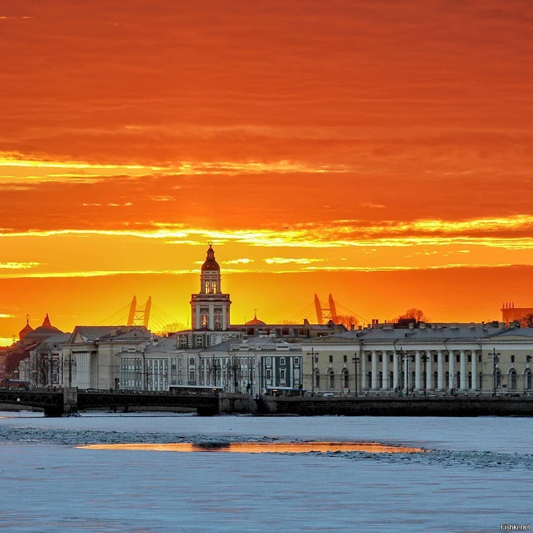 Город на неве фото