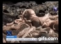 Русалка выброшенная на берег в Мексике
