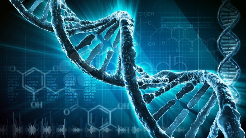Информация ДНК одного сперматозоида содержит 37,5 МБ данных. Это означает, что среднее семяизвержение почти мгновенно передает примерно 1500 терабайт данных