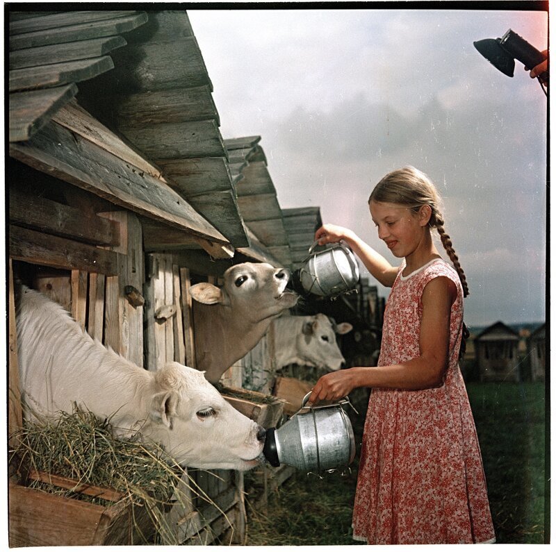 Постановочные фото советской жизни