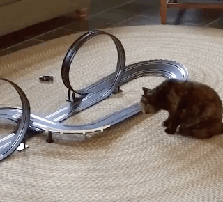 Как же тут все устроено