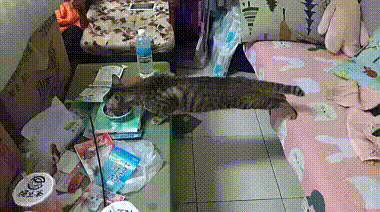 Не вставая с дивана Не вставая с дивана