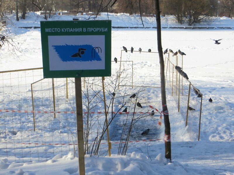 Усадьба и парк Воронцово