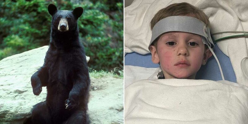 Трехлетний малыш заблудился в лесу, и его спас медведь