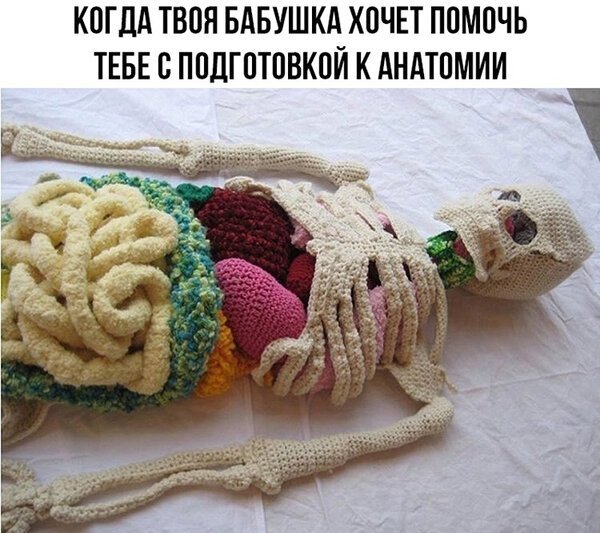 Вязание смешные картинки