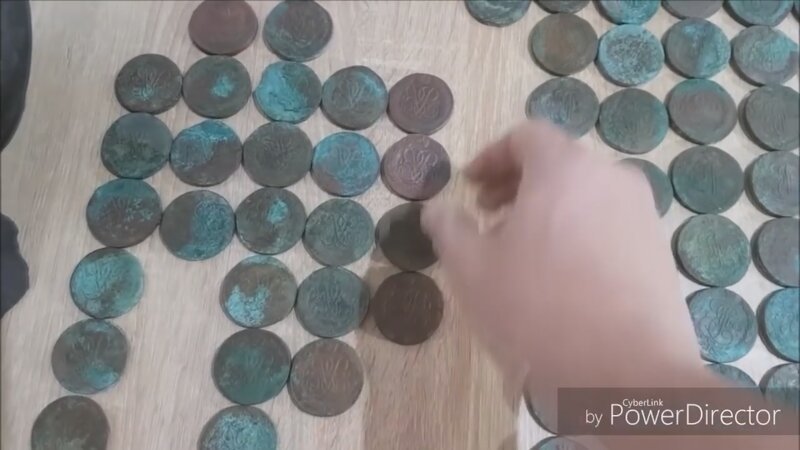 Клад старых монет нашли среди свиней!