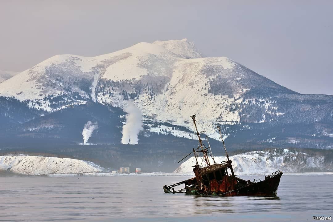 Вулкан менделеева остров кунашир фото