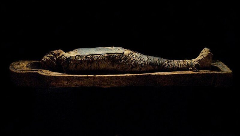 Египтяне обнаружили 40 мумий в древних гробницах Эль-Миньи