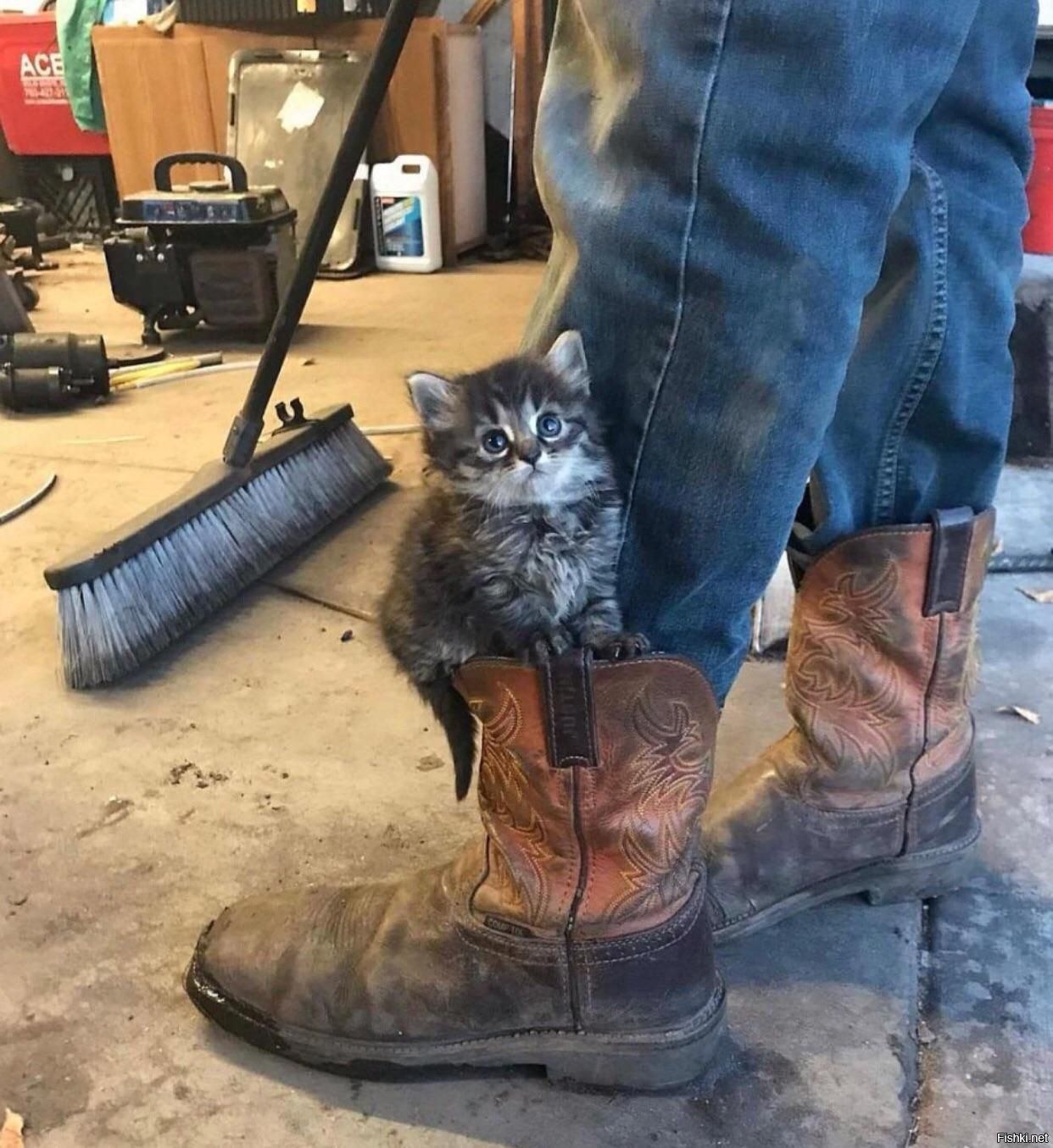 Кот в сапогах персонажи. Кот без сапог. Афиша кот в сапогах. Кот без сапог. Кот в сапогах прикол.