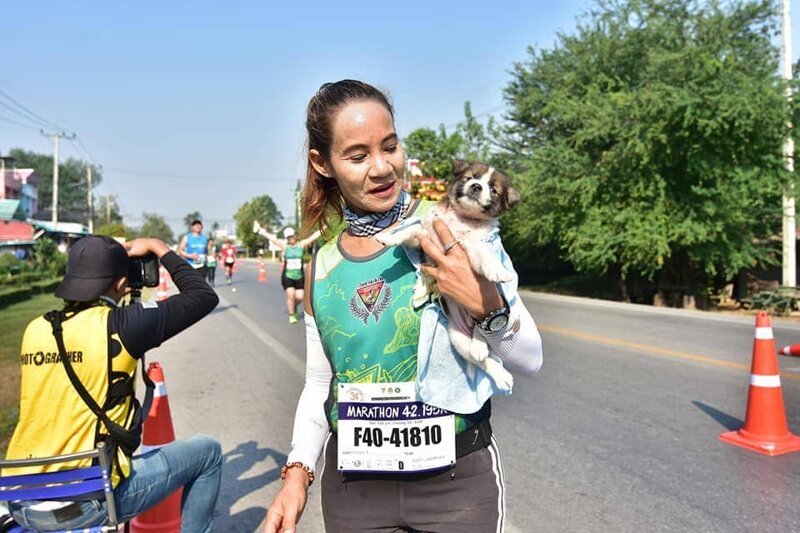 На 12-м километре марафона бегунья заметила на обочине маленького щенка