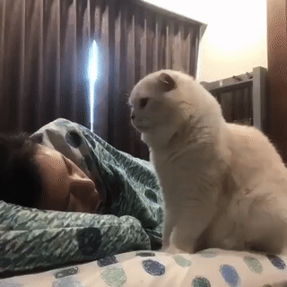 Просыпайся, человек