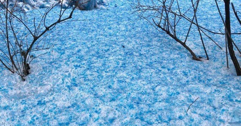 Смеха ради снег сейчас мы разукрасим