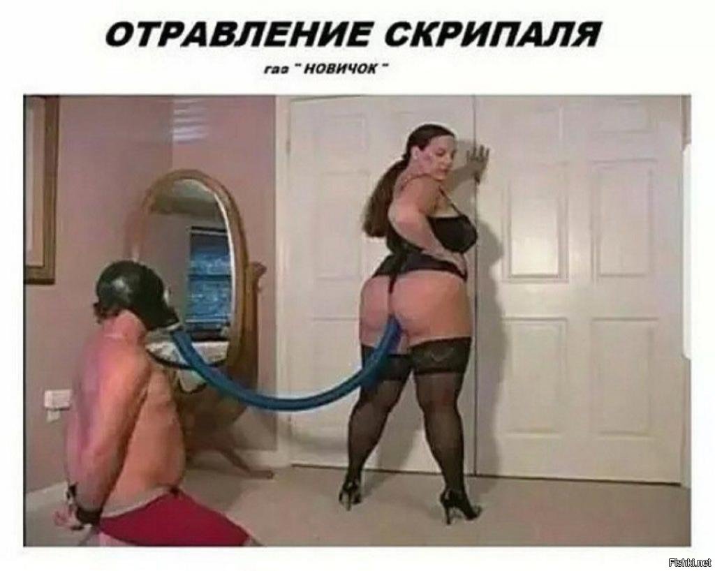 жопа на лице пердит Пердит лице жопа на